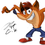 Crash Bandicoot 