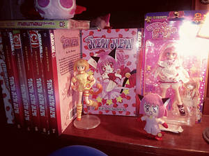 My Tokyo mew mew merch