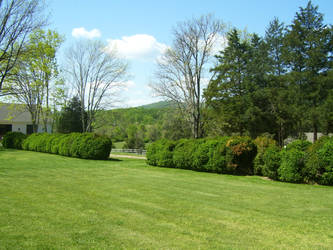 Ash Lawn-Highland Landscape