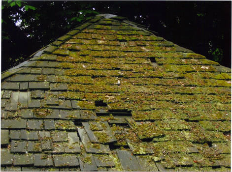 Old roof in Paris