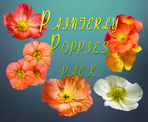 Painterly Poppies