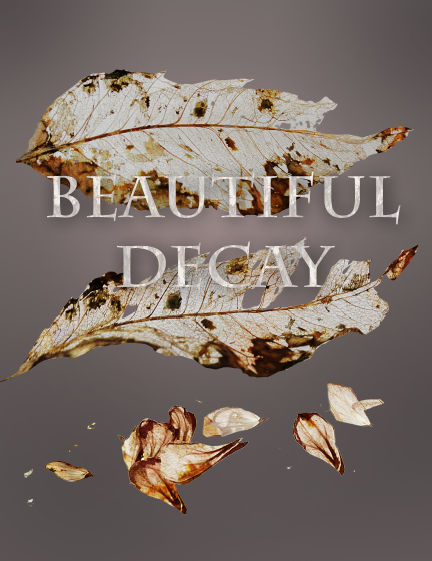 Decay Beutiful Beautiful Decay by BrookeGillette on DeviantArt