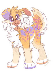 Colorful puppy adopt! 