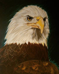 Eagle