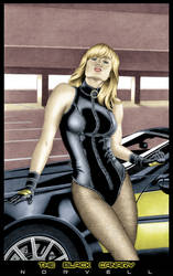 The Black Canary COLORED