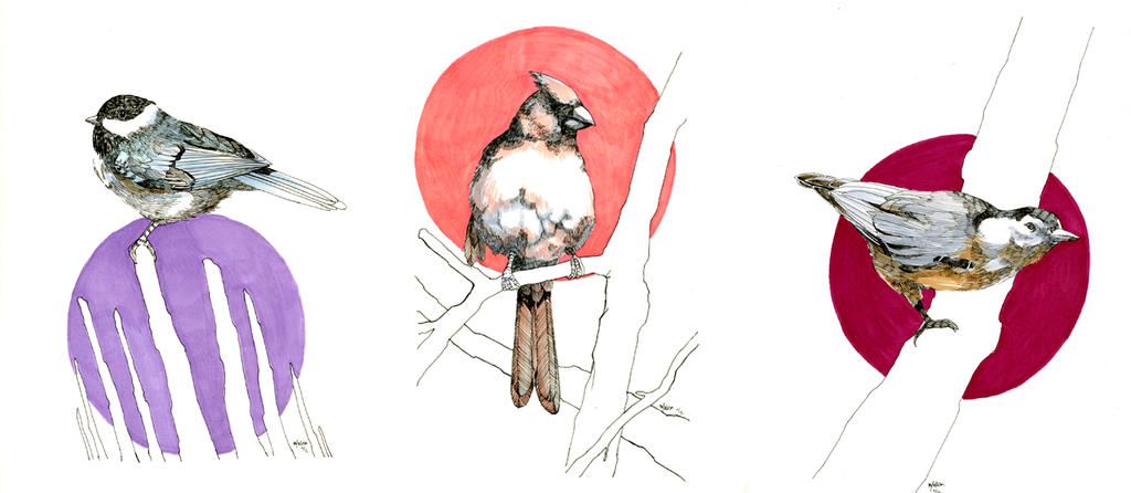 Bird Falling Deviantart Birds of Fall by malisasuchanya on DeviantArt