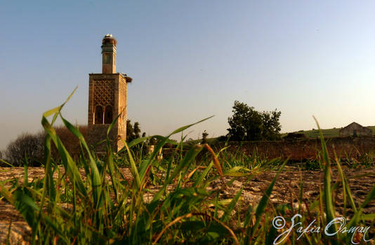 Chellah Minaret