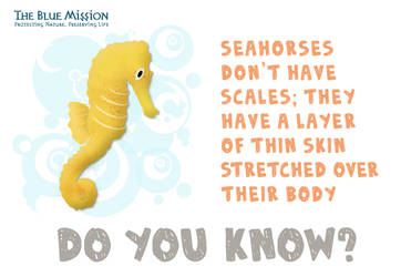 E-card - Seahorse