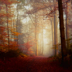 Fall Hike