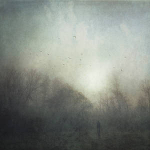 One Tranquil Morning