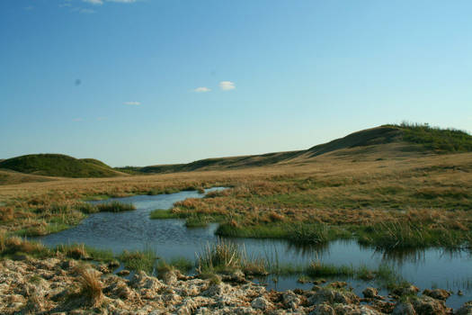 Field Background Stock 019