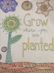 Grow where you are planted