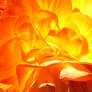 Fire Flower