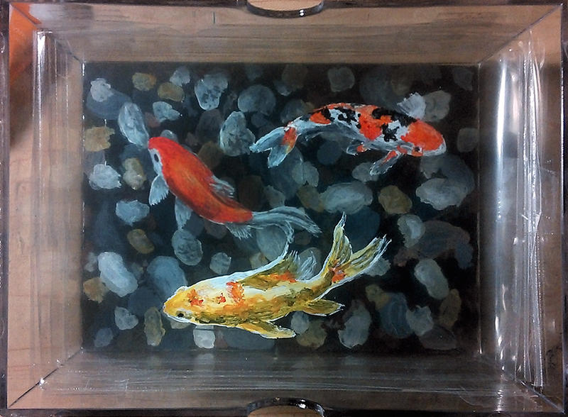 Goldfish Box