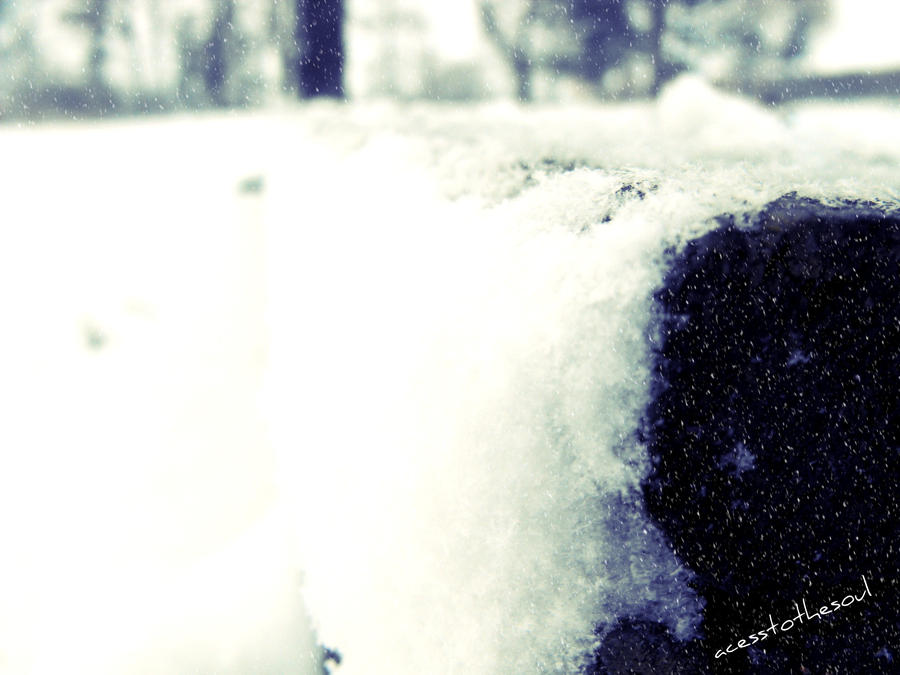 Snowy Bench