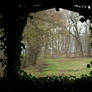 Ivy Border