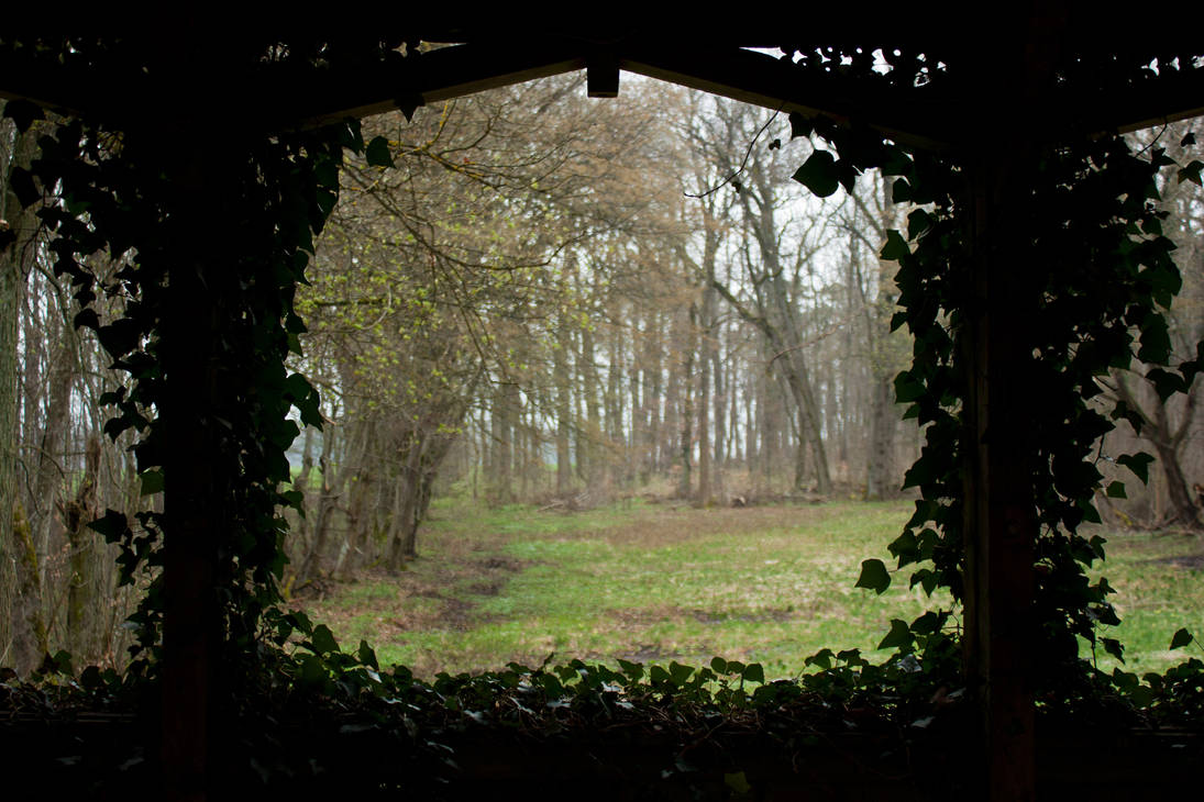 Ivy Border by Jantiff-Stocks Ivy Border by Jantiff-Stocks