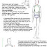 Basic anatomy