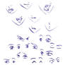 Mouth and eye studies