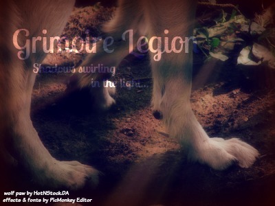 Grimoire Legion: Shadows swirling in the light