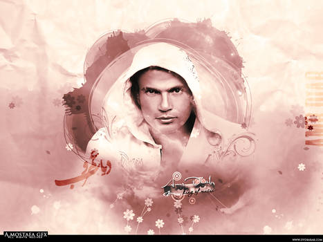 Amr Diab Wallpaper ..