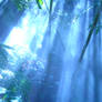 Mist of the Rainforest