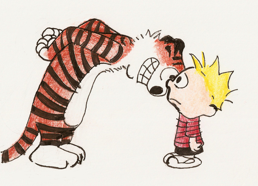 Calvin and Hobbes