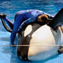 Shamu Snuggle