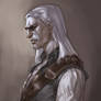 witcher