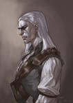 witcher by narrator366