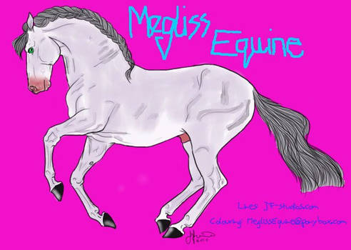 Megliss Equine