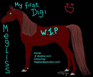 My First Digi