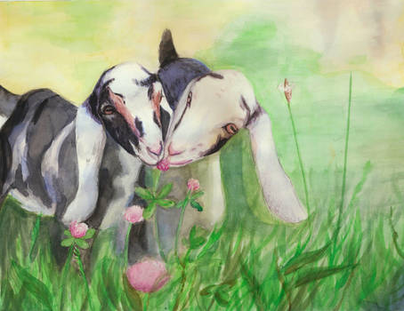 Goats watercolour
