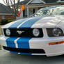 drivewaymustang