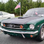 americanmustang