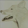 Wolf-Dog...Canine of somesort
