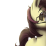 [ Gift Art ] Everypony Look To the Left!