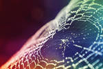 Rainbow spiderweb by Kokopa
