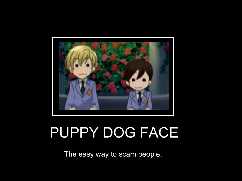 Puppy dog face OwO