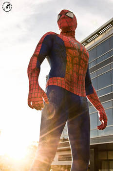the amazing spiderman 2 cosplay
