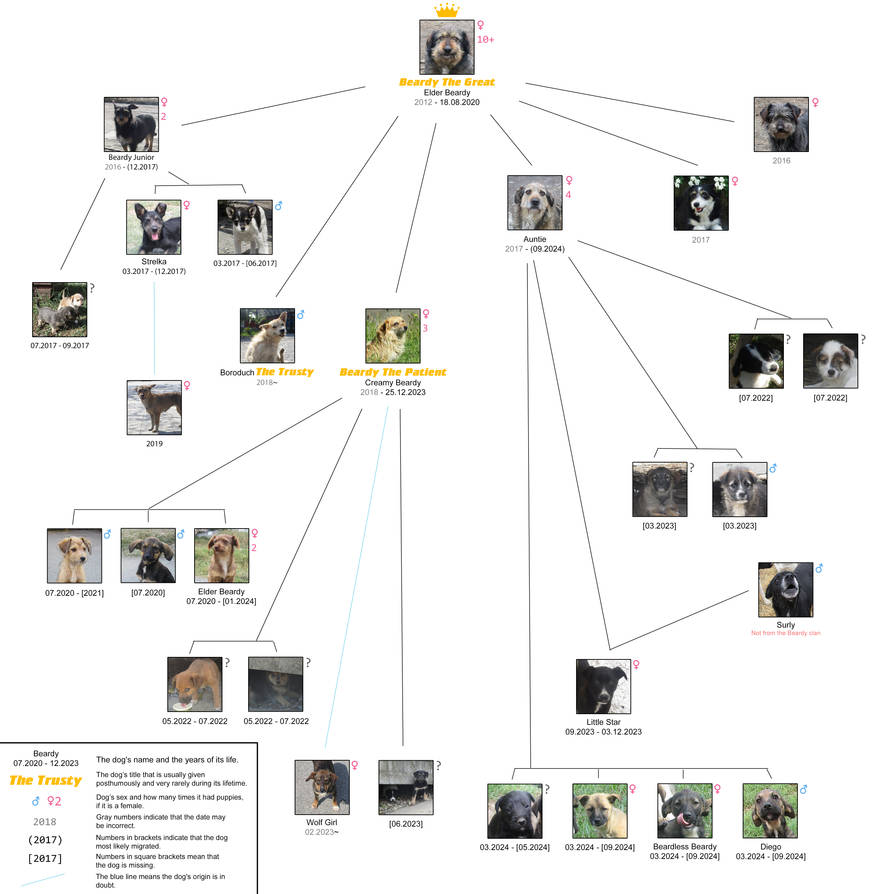 Beardy Ranger Beardy Clan Tree by Kitsune2001 on DeviantArt