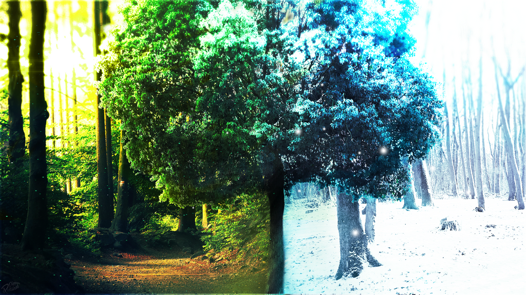 Spring and Winter by DipperPictures on DeviantArt