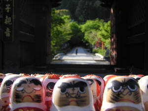 daruma doll