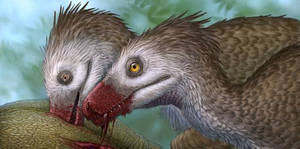 Dromeosaurids Eating