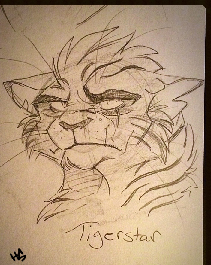 Tigerstar Sketch By Missartsyy On Deviantart