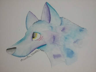 Water Color Wolf