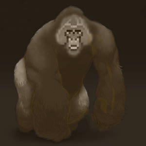 Gorilla? by Ag3ntAn0nym0us Gorilla? by Ag3ntAn0nym0us