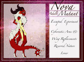 Nova | Male | Mutated Moth | Adult