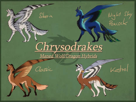 [OPEN] Chrysodrakes Adopts - OTA