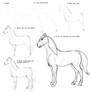 Basic Horse Tutorial